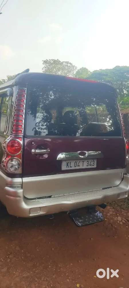 Scorpio Royal Maroon