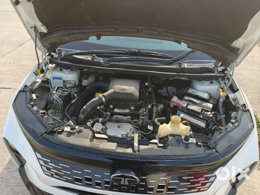  Tata Curvv Pure+ S Tc Petrol &ndash; 2024 Model | 1st Owner