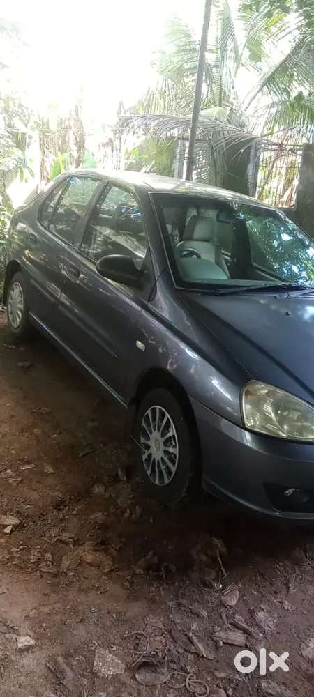 Indigo Petrol Good