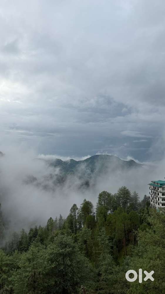 3 BHK Furnished Flat for Rent near Summerhill, Shimla