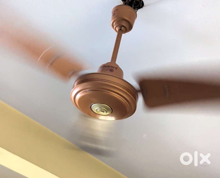 SALE OF ONE ORTEM & ONE ORIENT CEILING FAN