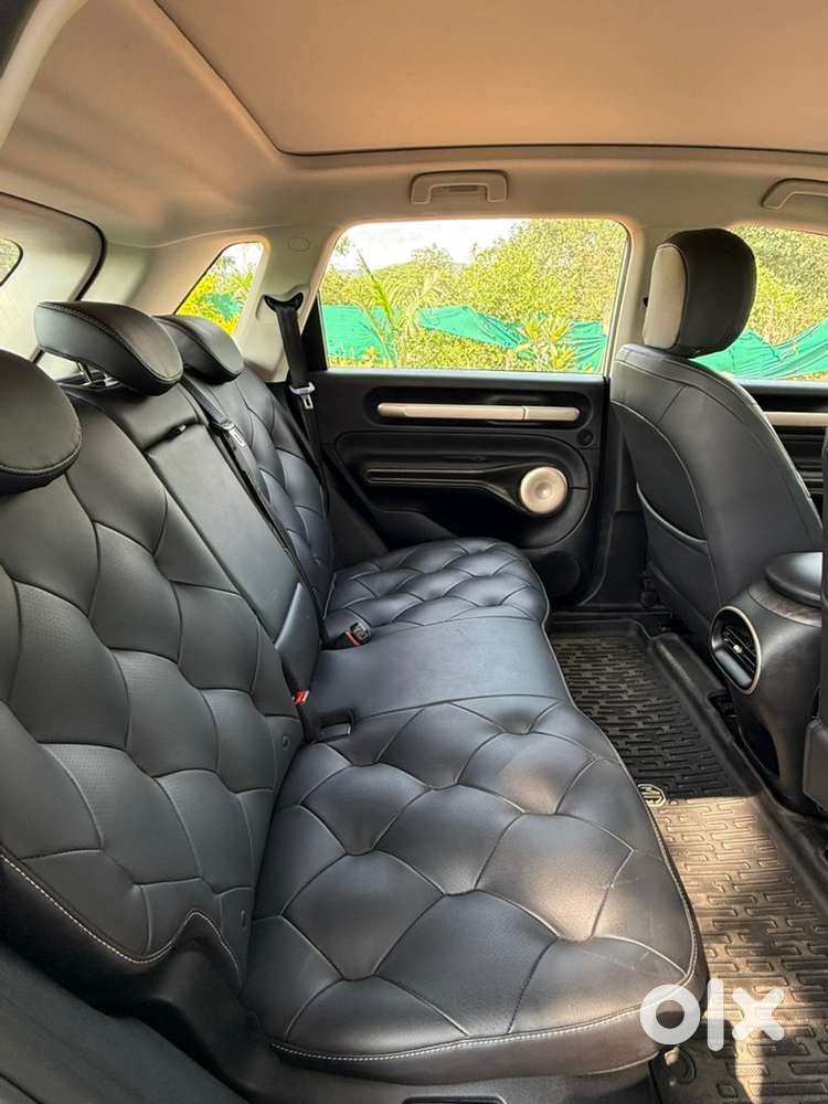Mg Windsor Essence Ev 2024