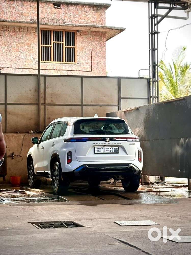Maruti Suzuki Petrol 2023