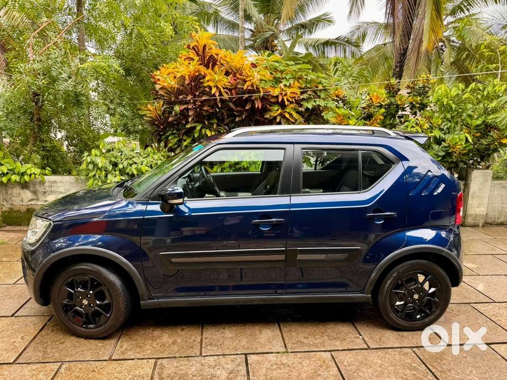 Maruti Suzuki Ignis Petrol 2023