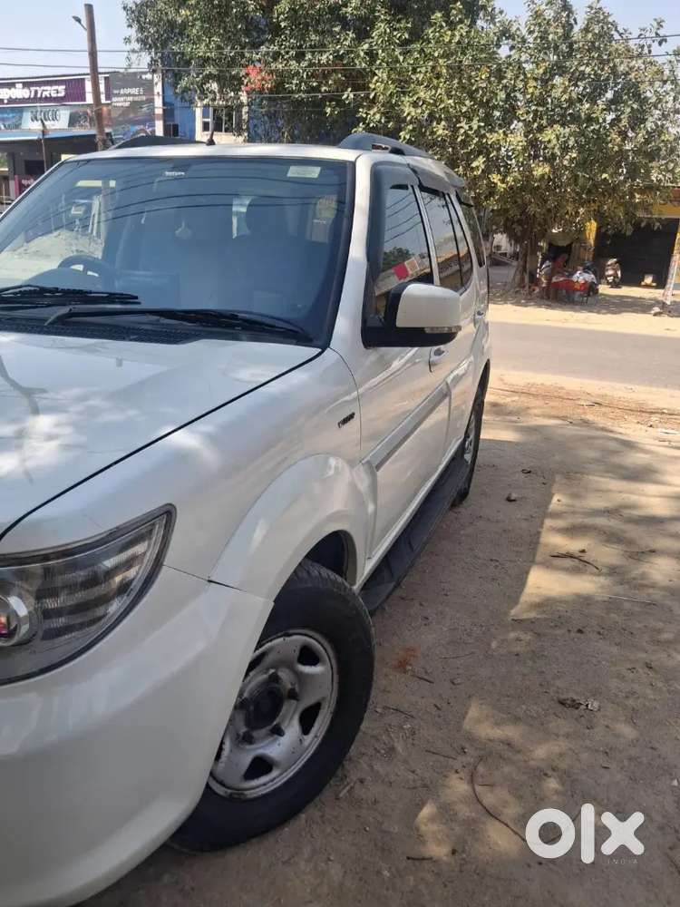 Safari Storme Frist Woner 2017 New Tayar Good