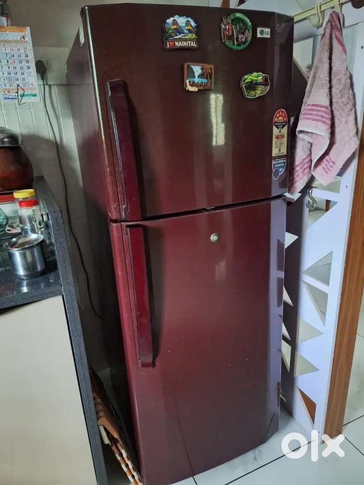 Lg refrigerator