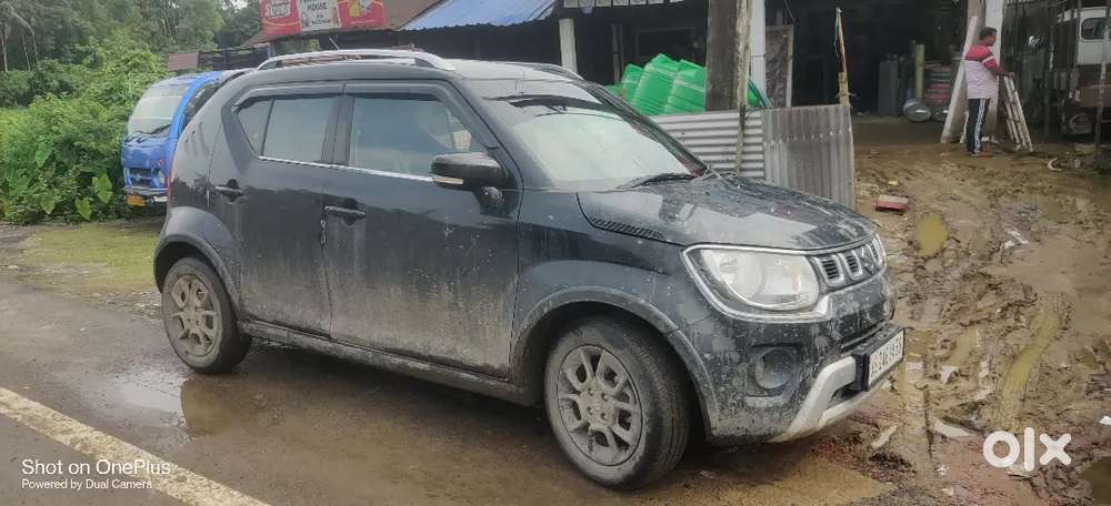 Maruti Suzuki Ignis 2025 Petrol 12500 Km Driven