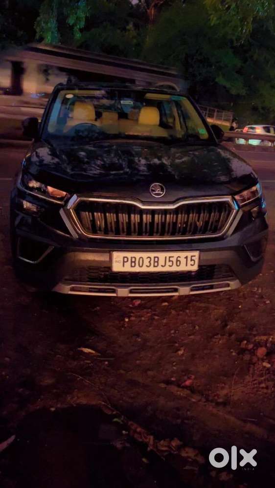Skoda Kushaq 2022 Petrol 30000 Km Driven