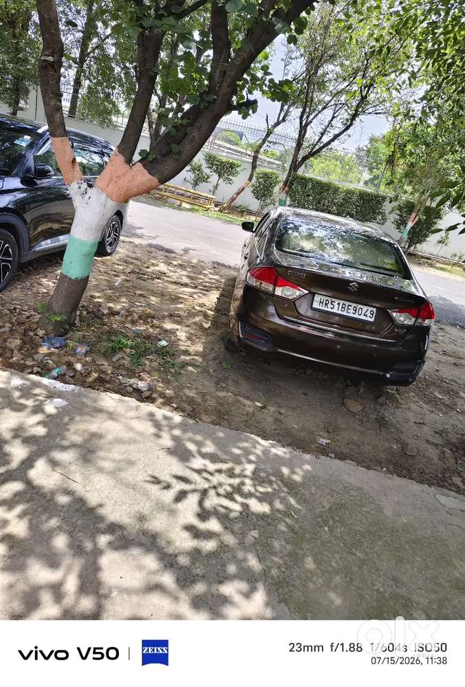 Maruti Suzuki Ciaz Vxi 2015 Model