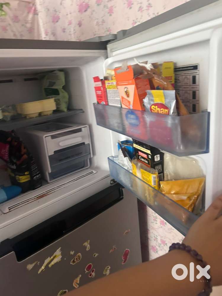 Dual door fridge