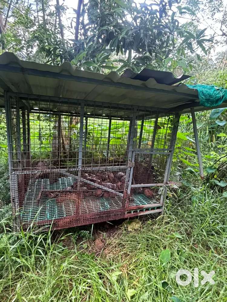 Dog cage for pets