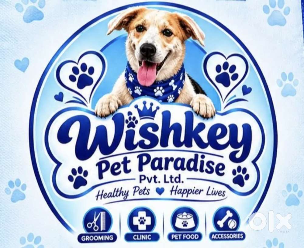 We want pet  groomer.Male and female both can apply it