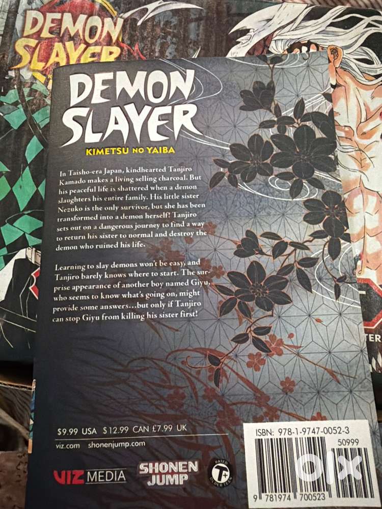 Demon Slayer Kimestu no Yaiba