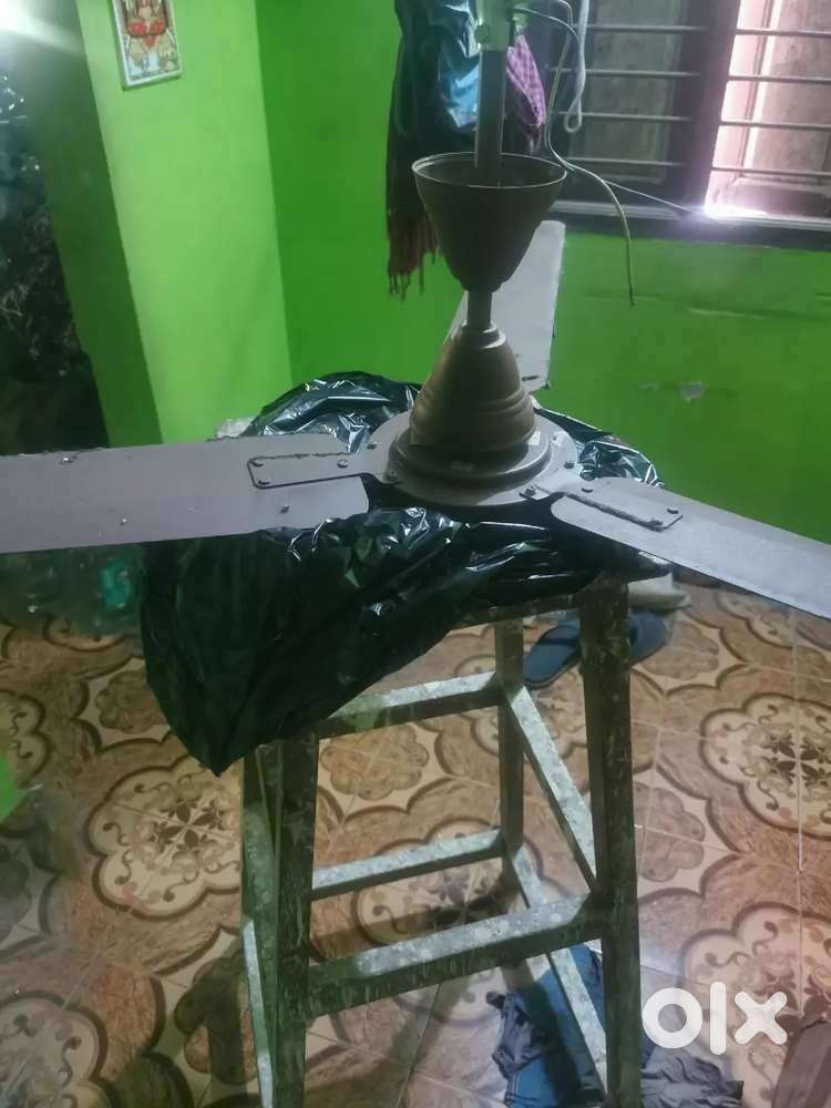 Ceiling fan