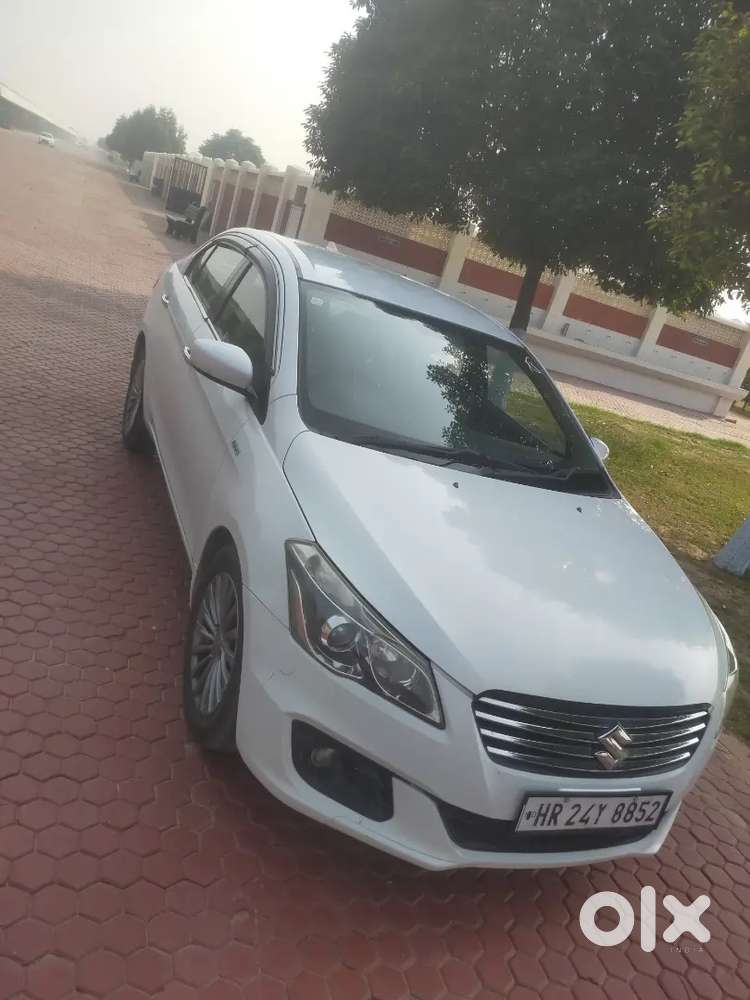 Maruti Suzuki Ciaz 2017 Brand New Condition
