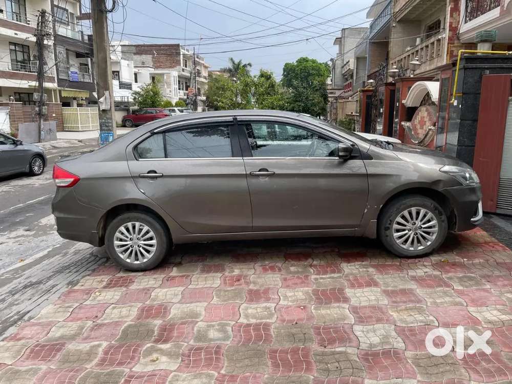 Maruti Suzuki Ciaz 2019 Cng & Hybrids Well Maintained