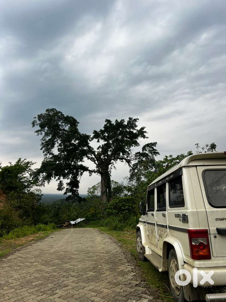 Mahindra Bolero 2015 Diesel Well Maintained