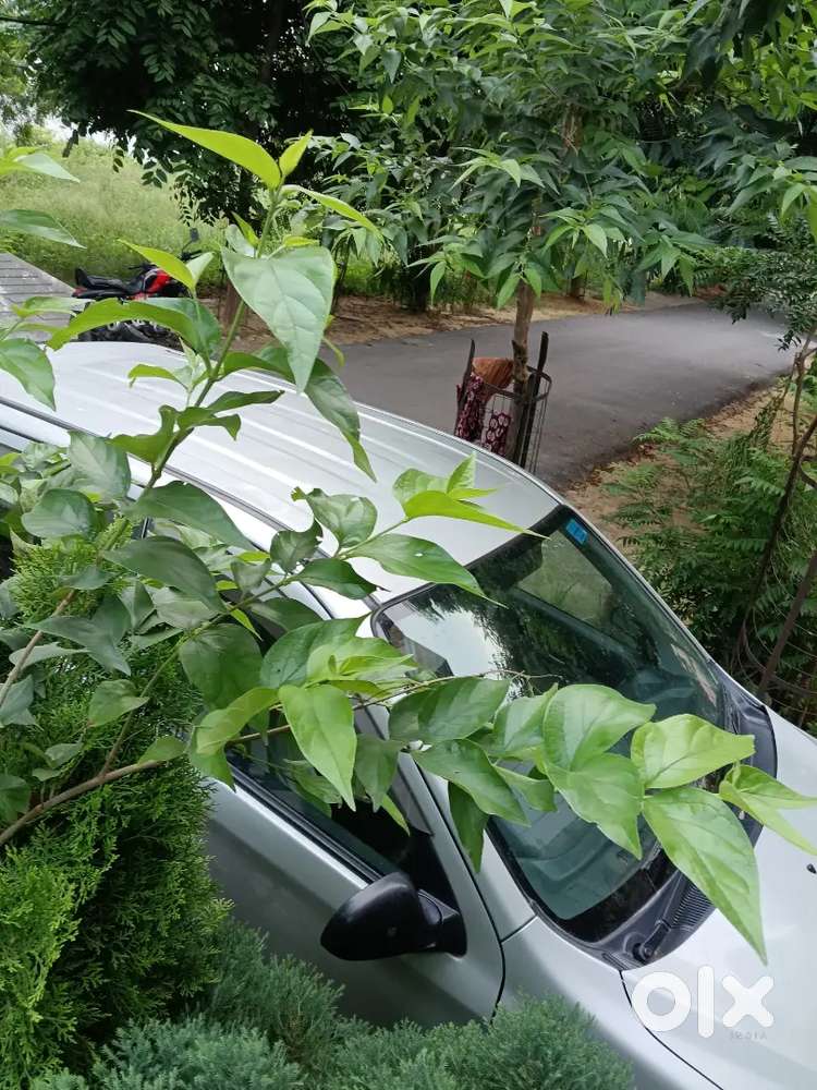 Maruti Suzuki Alto 800 Petrol 2017 Ac