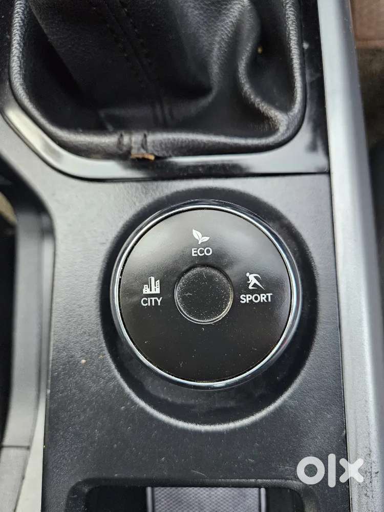 Tata Nexon Cng 2021 Sunroof