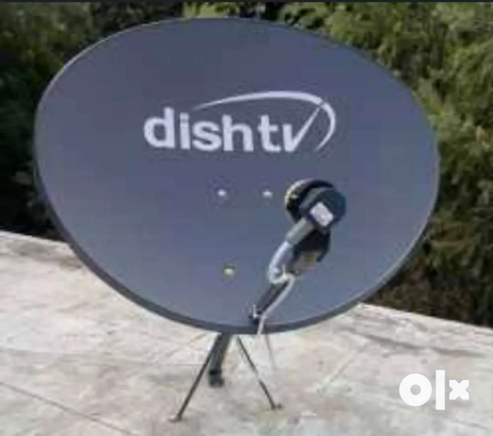 Dish tv on sale umbrella