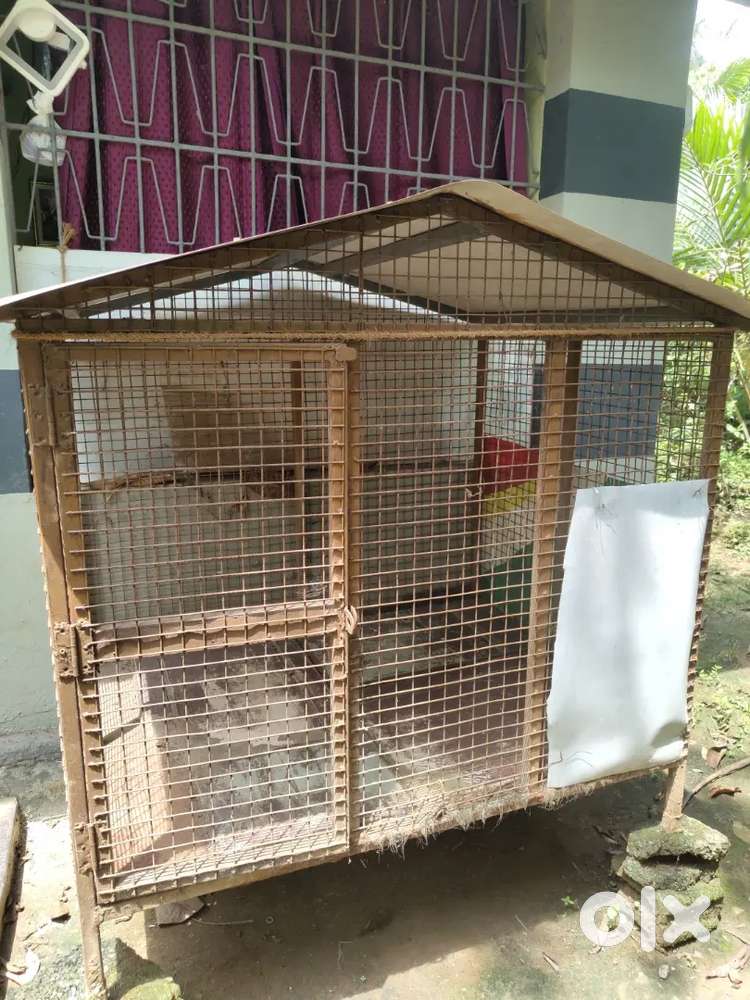 Metal cage