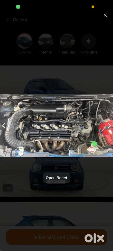 Maruti Suzuki Ignis 2019 Petrol 19800 Km Driven