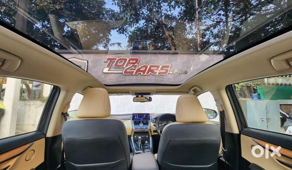 Lexus Nx Lexus-nx-300h-luxury, 2018, Cng & Hybrids