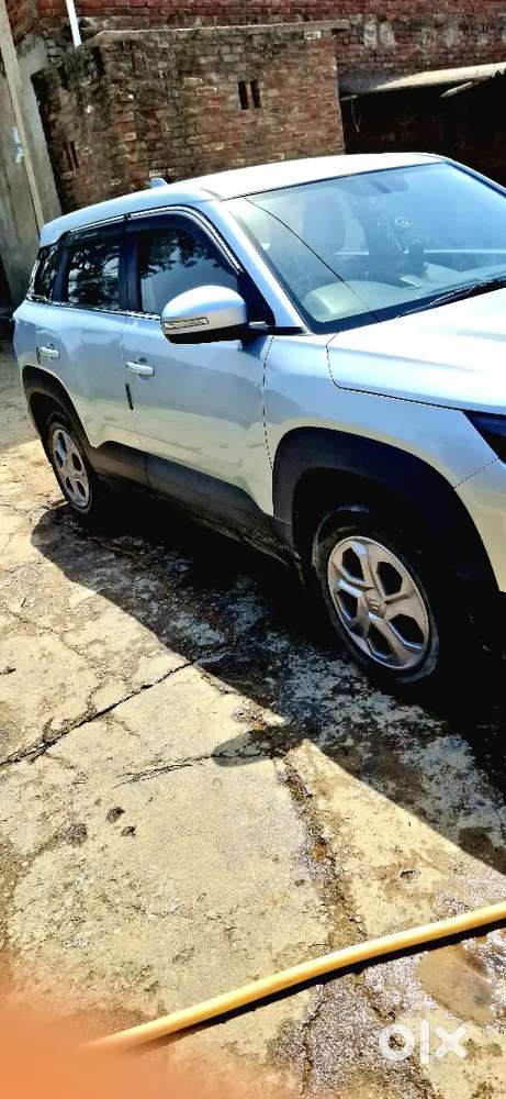 Maruti Suzuki Vitara Brezza 2024 Cng & Hybrids 39500 Km Driven
