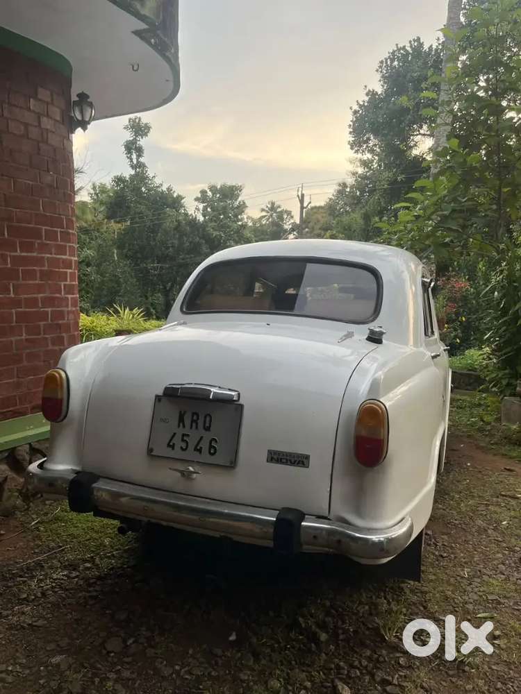 Ambassador Classic 1983 Model - Fancy Number