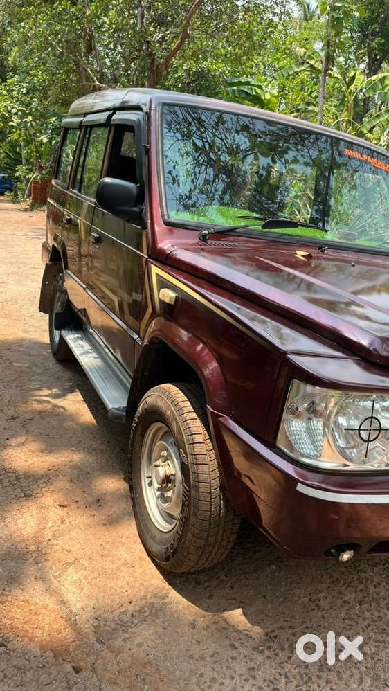 Sumo Gold Well Maintained