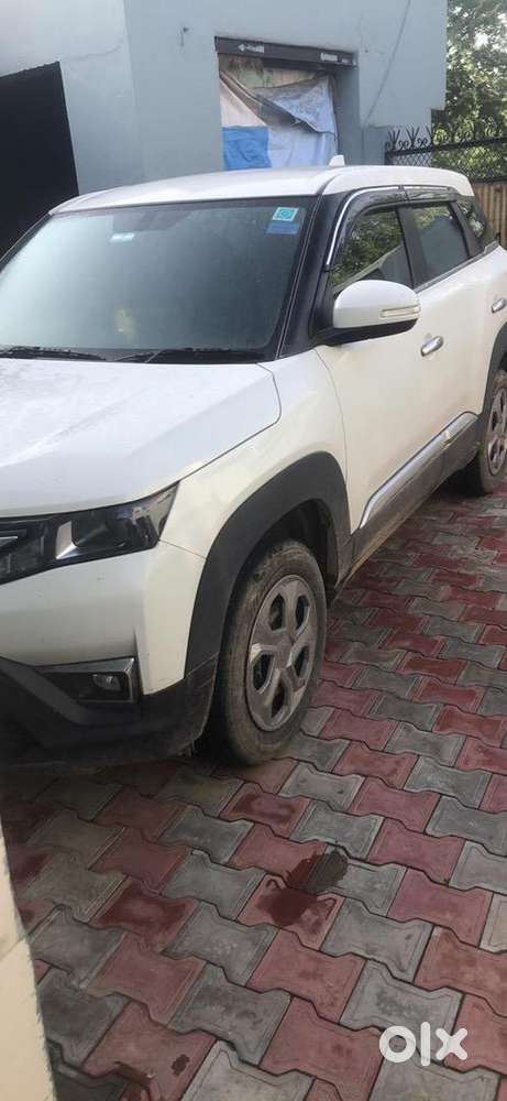 Maruti Suzuki Swift 2023 Cng & Hybrids 42000 Km Driven