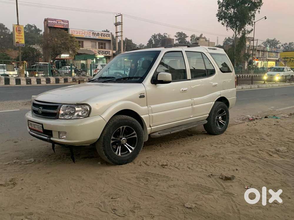 Tata Petrol Diesel 2010