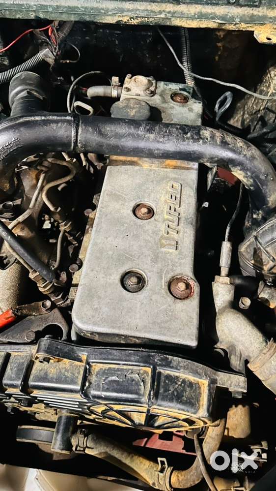 Willys Jeep With Isuzu Turbo Engine Available For Sale