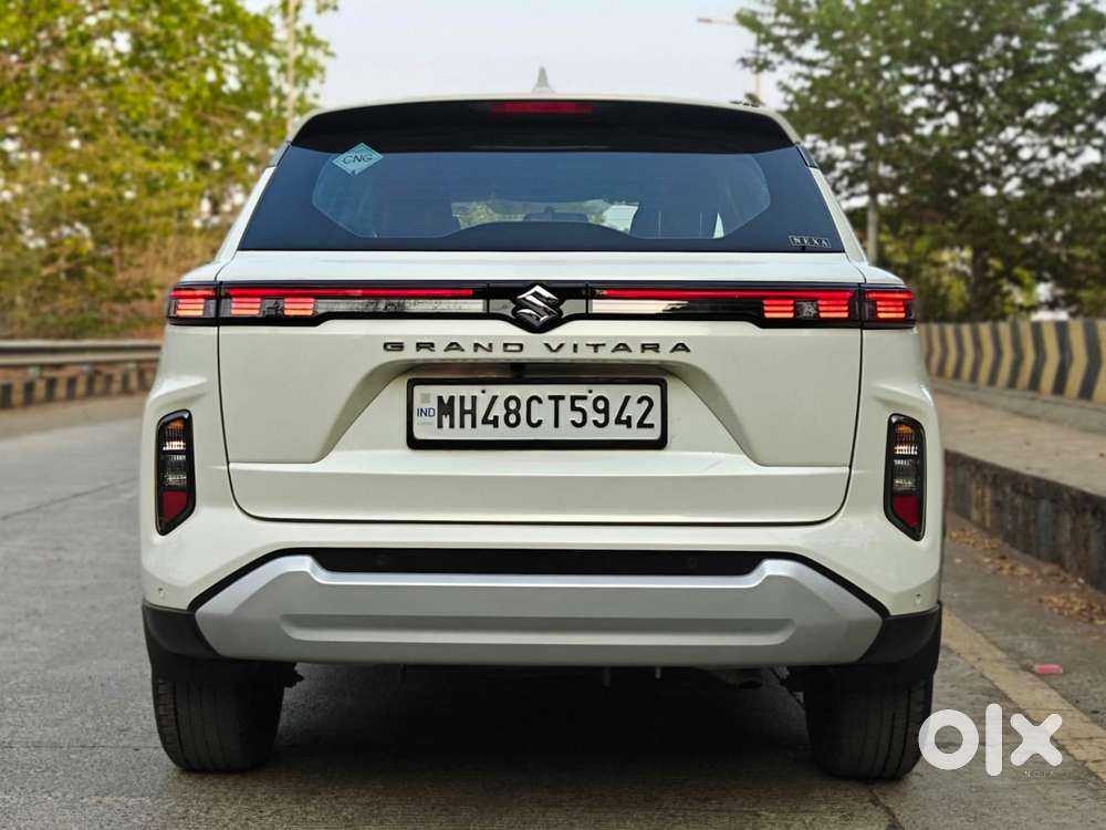 Maruti Suzuki Grand Vitara 1.5 Delta Cng, 2024, Cng & Hybrids