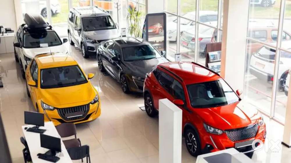 Required Male Car  Showroom Slaes Staff