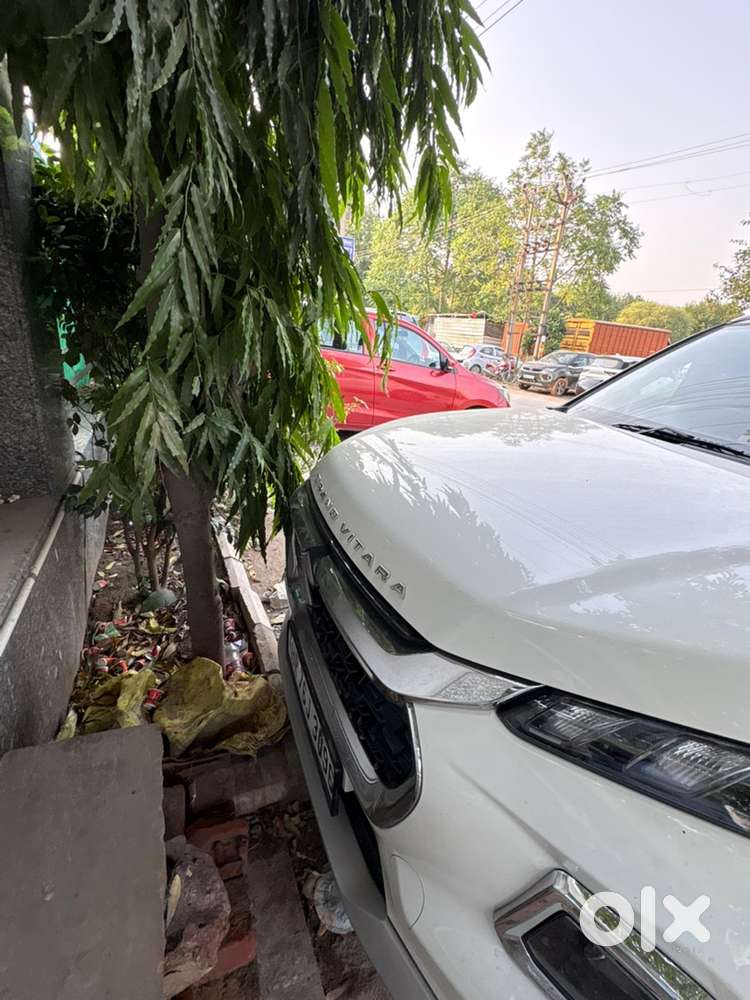 Maruti Suzuki Grand Vitara 2024
