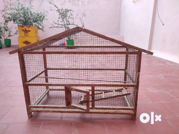 Love birds cage sales olx