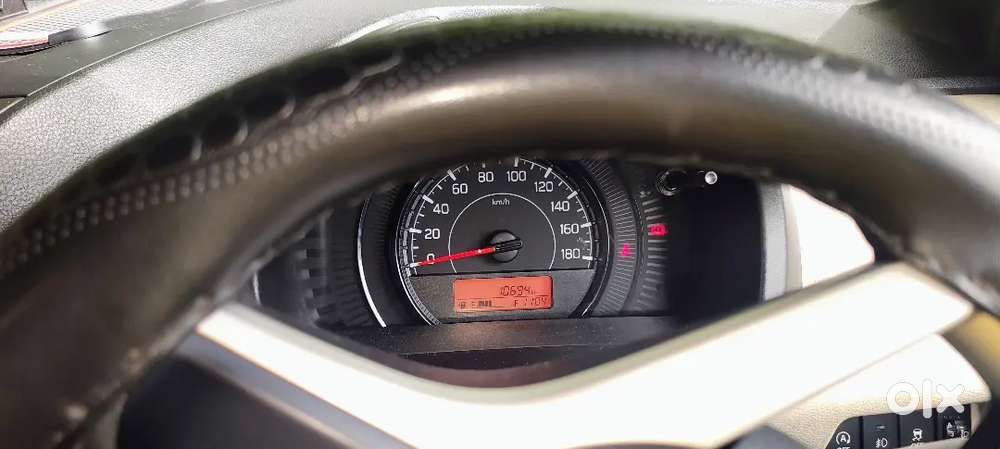 Maruti Suzuki Wagon R Petrol 2024
