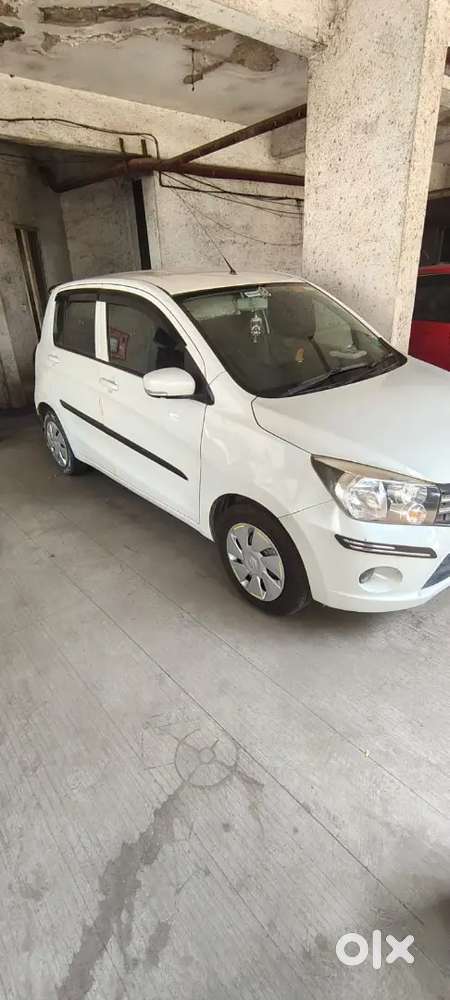 Maruti Suzuki Celerio 2016 Petrol Good Condition Automatic