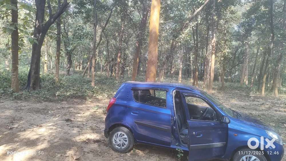 Maruti Suzuki Alto 800 2013 Petrol 37000 Km Driven