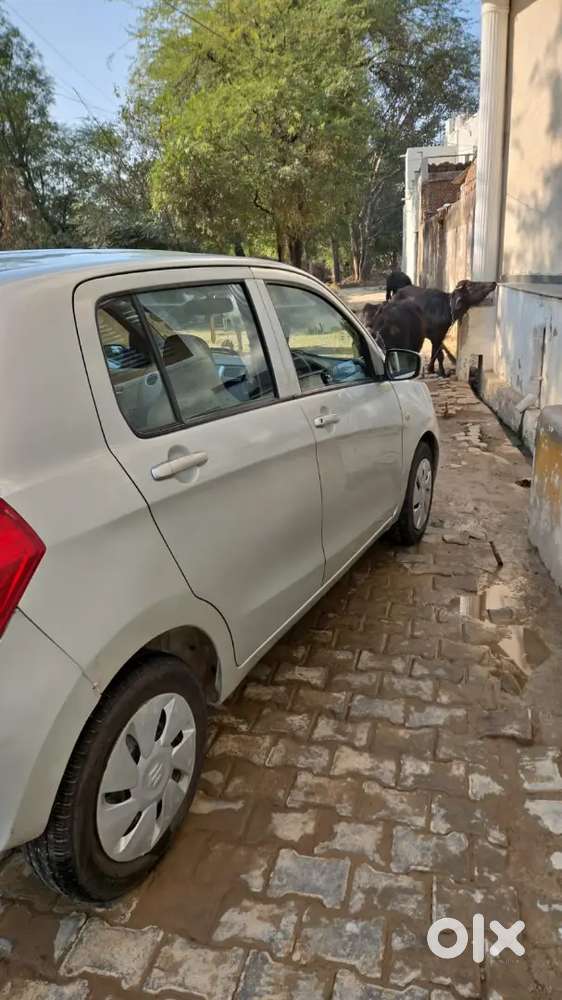 Maruti Suzuki Celerio Vxi 2018