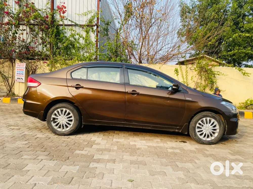 Maruti Suzuki Ciaz 2017 Diesel 77000 Km Driven