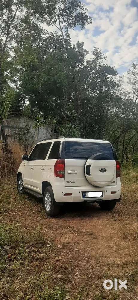 Tuv 300 T8 Amt