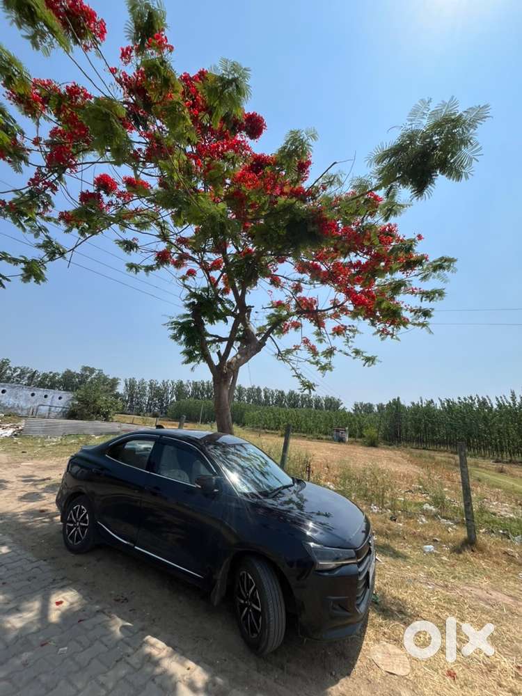Maruti Suzuki Dzire Zxi 2025