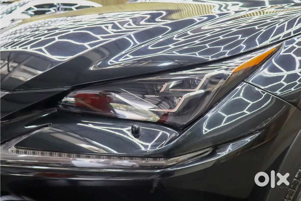 Lexus Nx, 2019, Petrol