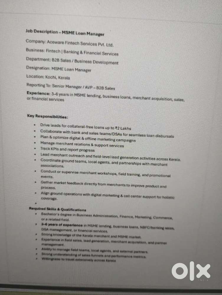 Loan Executive