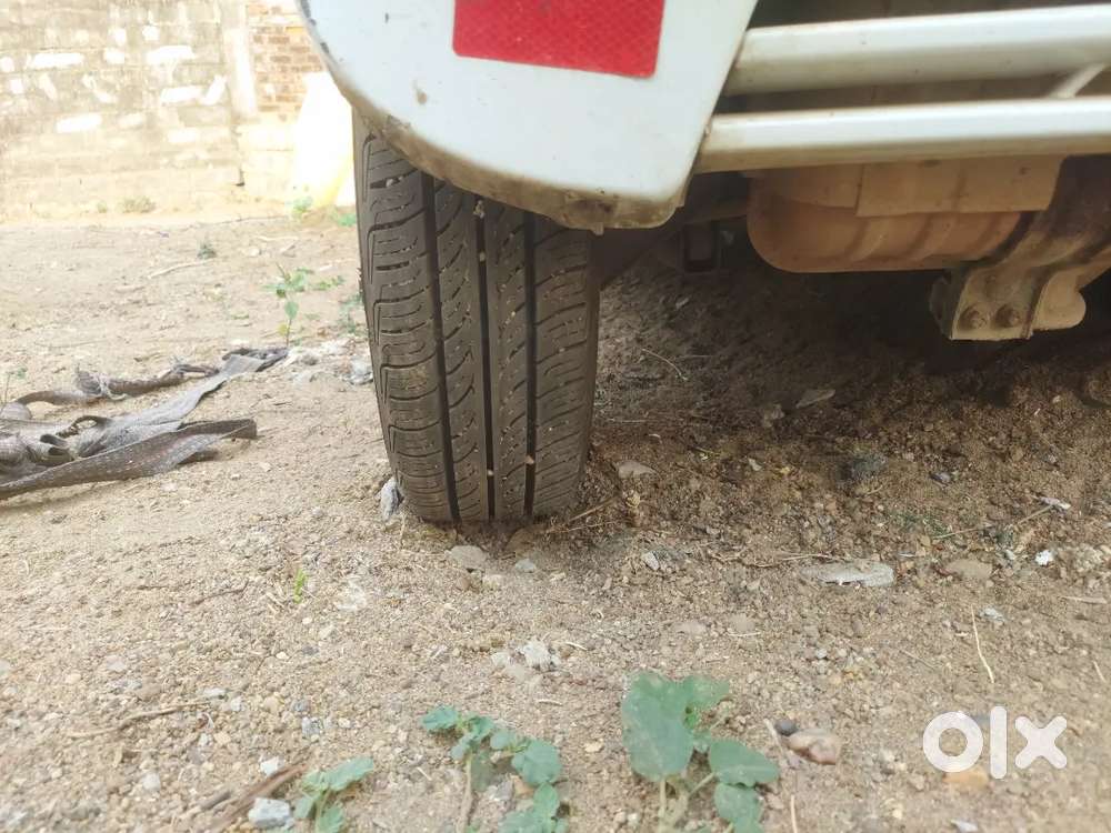 Super Candican Seal Tyrs Semilege 26