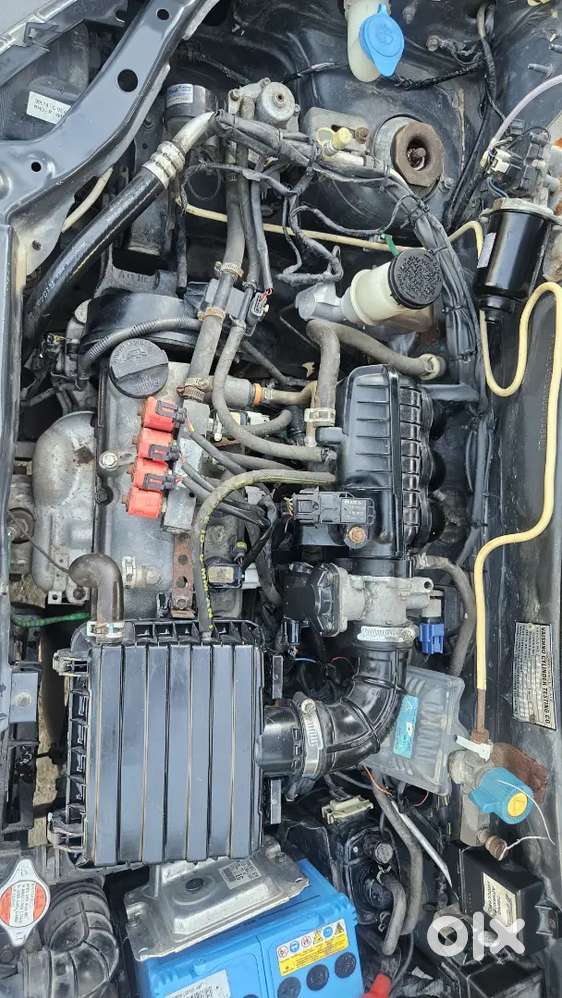 Maruti Suzuki Alto 800 2019 Cng & Hybrids 75000 Km Driven