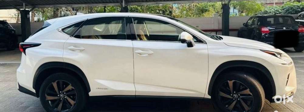 Lexus Nx Lexus-nx-300h-luxury, 2018, Cng & Hybrids