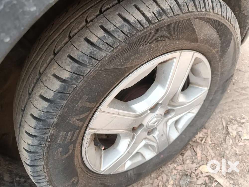 Pus Baten Starrt Top Model